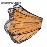 Butterfly Orange Wing